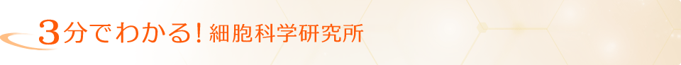 3分でわかる！細胞科学研究所