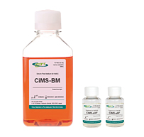 CiMSTM ヒトMSC用無血清基礎培養液